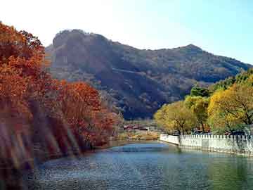 奥门天天开奖免费资料，大叶女贞产地